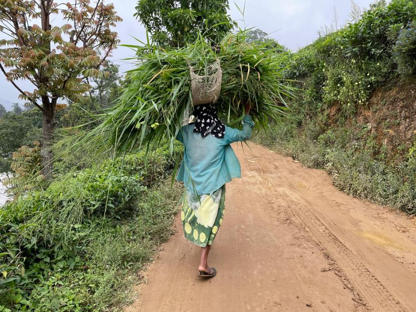 femme-marcher-travailler-campagne-