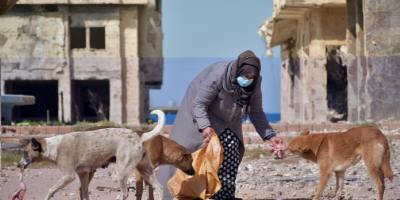 Une Femme Nourrit Des Chiens Errants Dans La Ville De Benghazi, Déchirée Par La Guerre